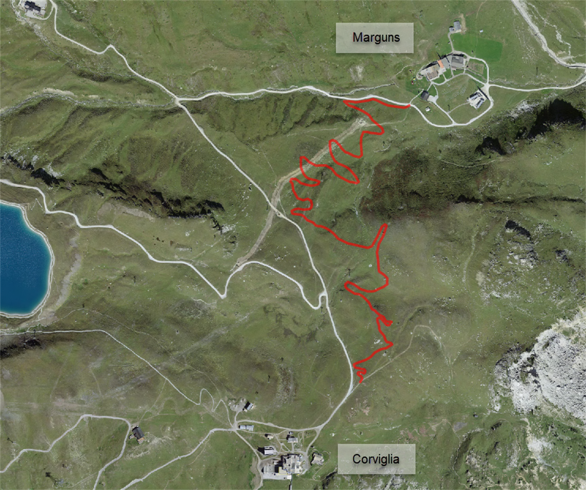 Foto Flow Trail in Celerina/Schlarigna