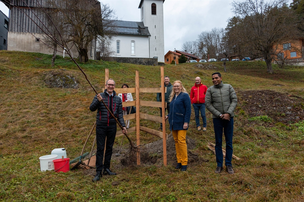Pflanzung des Apfelbaums
