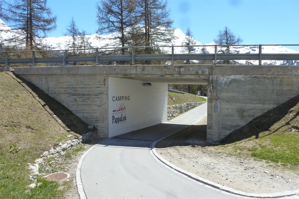 Brücke Ova dal Vallun