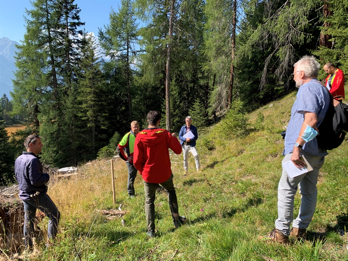 Foto Präsentation Waldbiodiversität