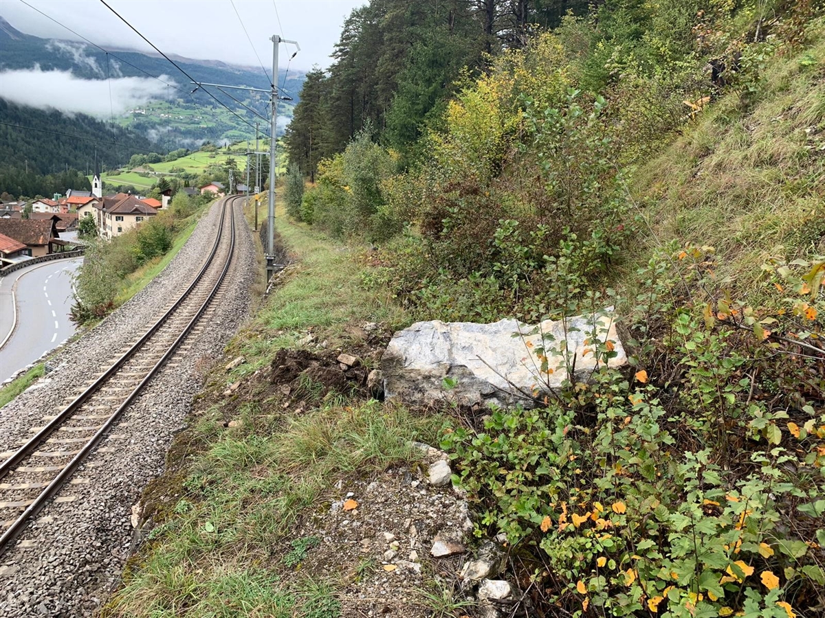 Steinschlagschutz Surava