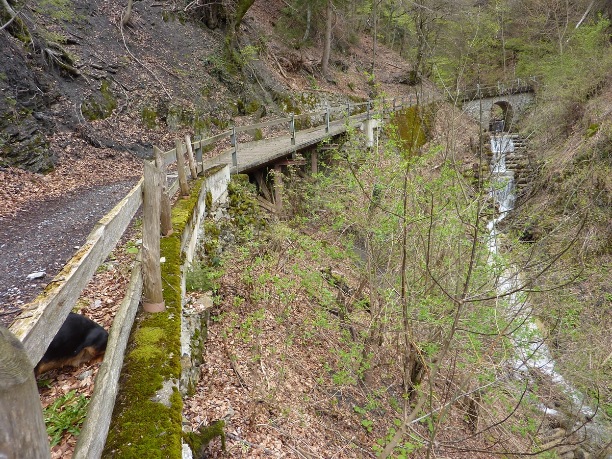 Foto Waldweg Litzitobel