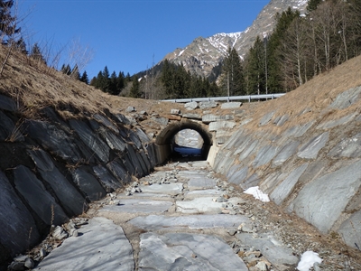 Brücke Ponte Lant