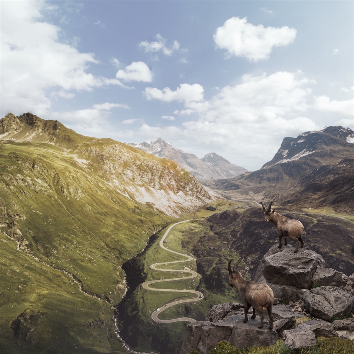 Landschaftsbild