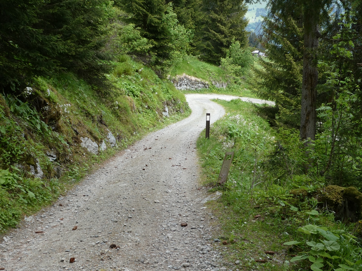 Waldweg Gemeinde Trun