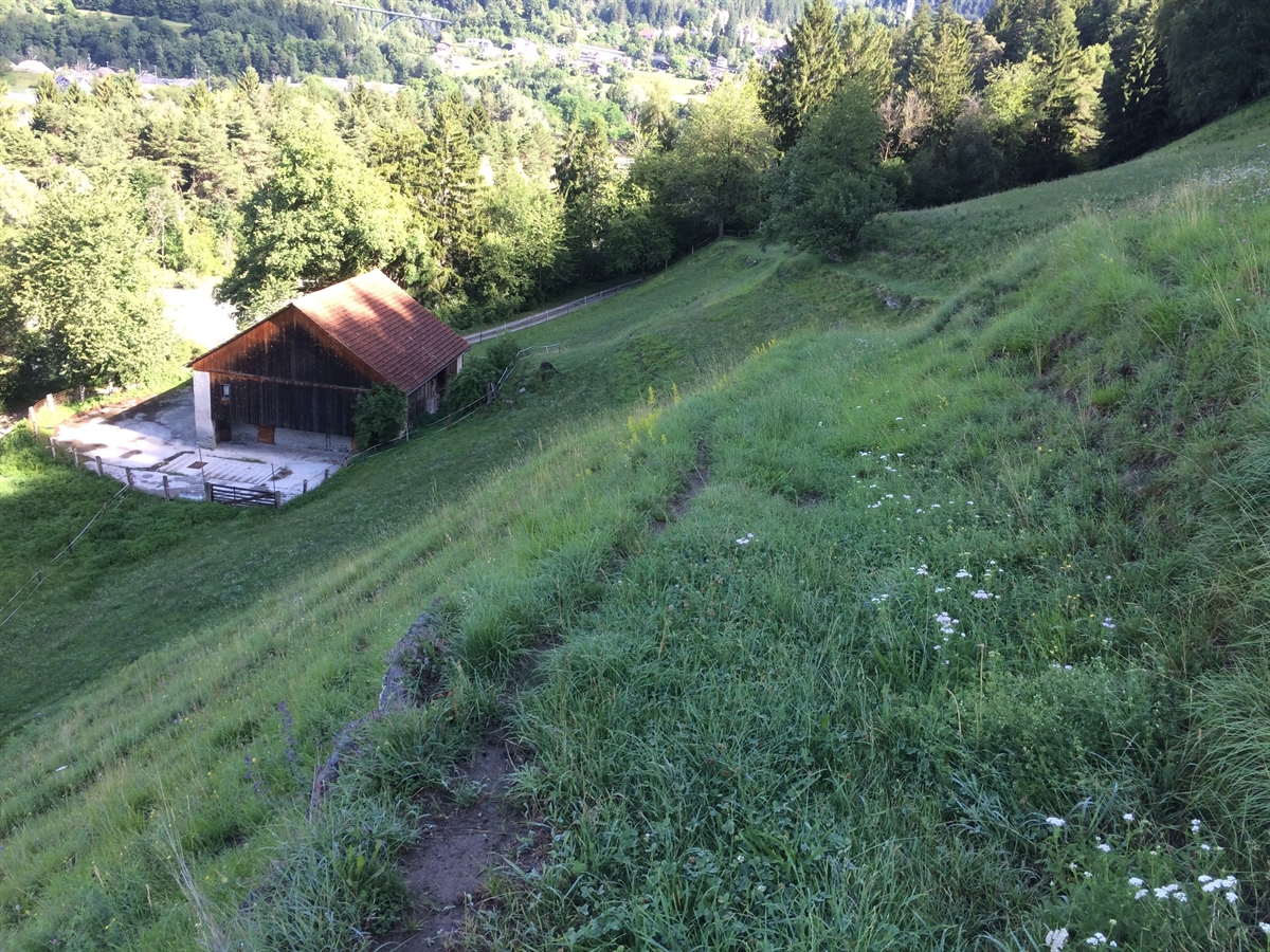 Foto Kulturlandschaft Vegna