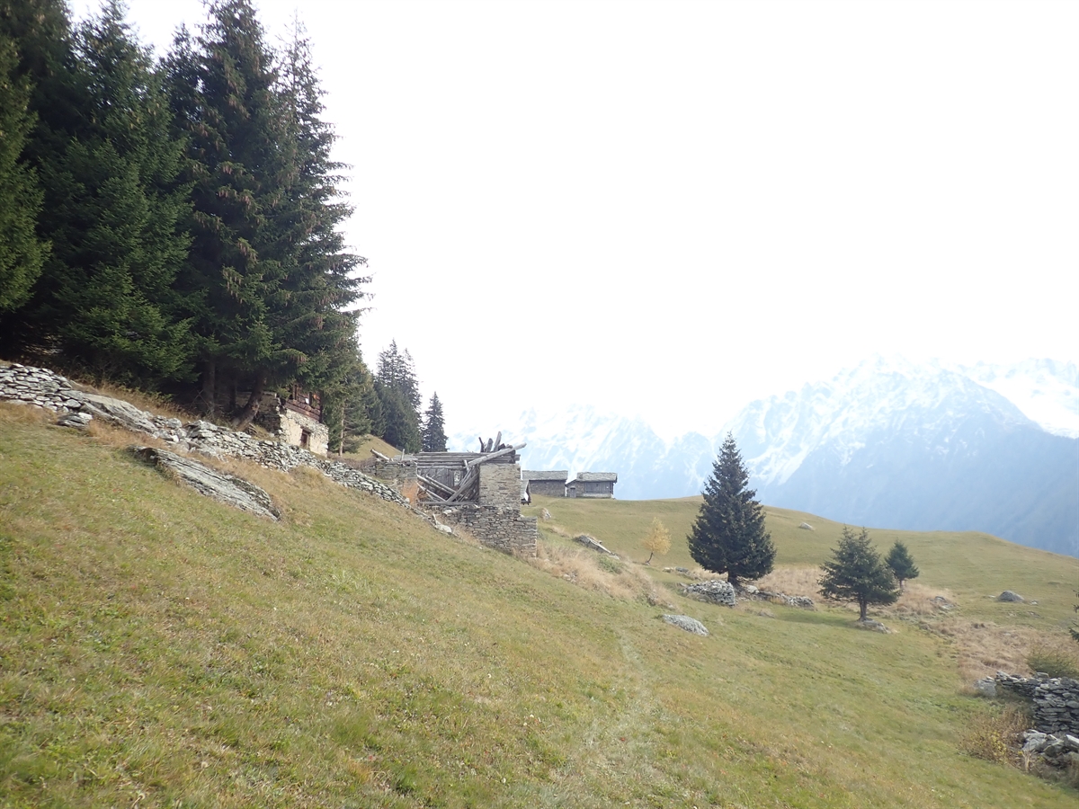 Foto Soglio