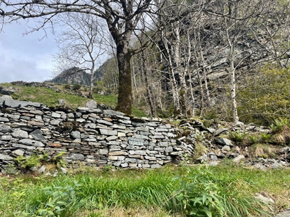 Trockenmauern