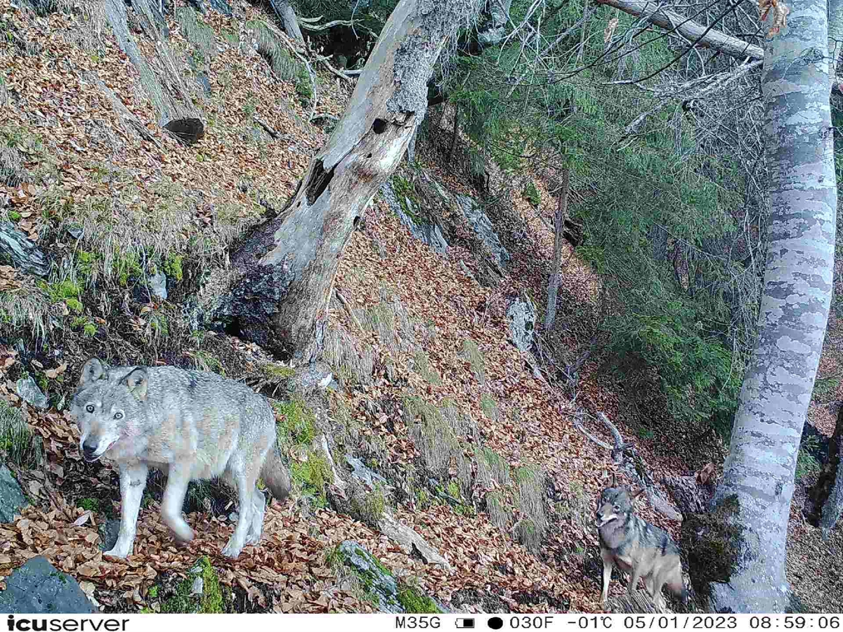 Foto 2