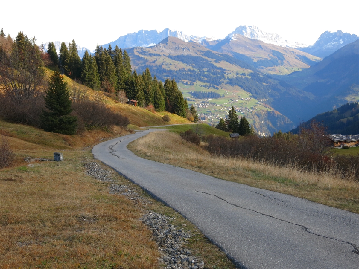 Strasse Fideriser Heuberge