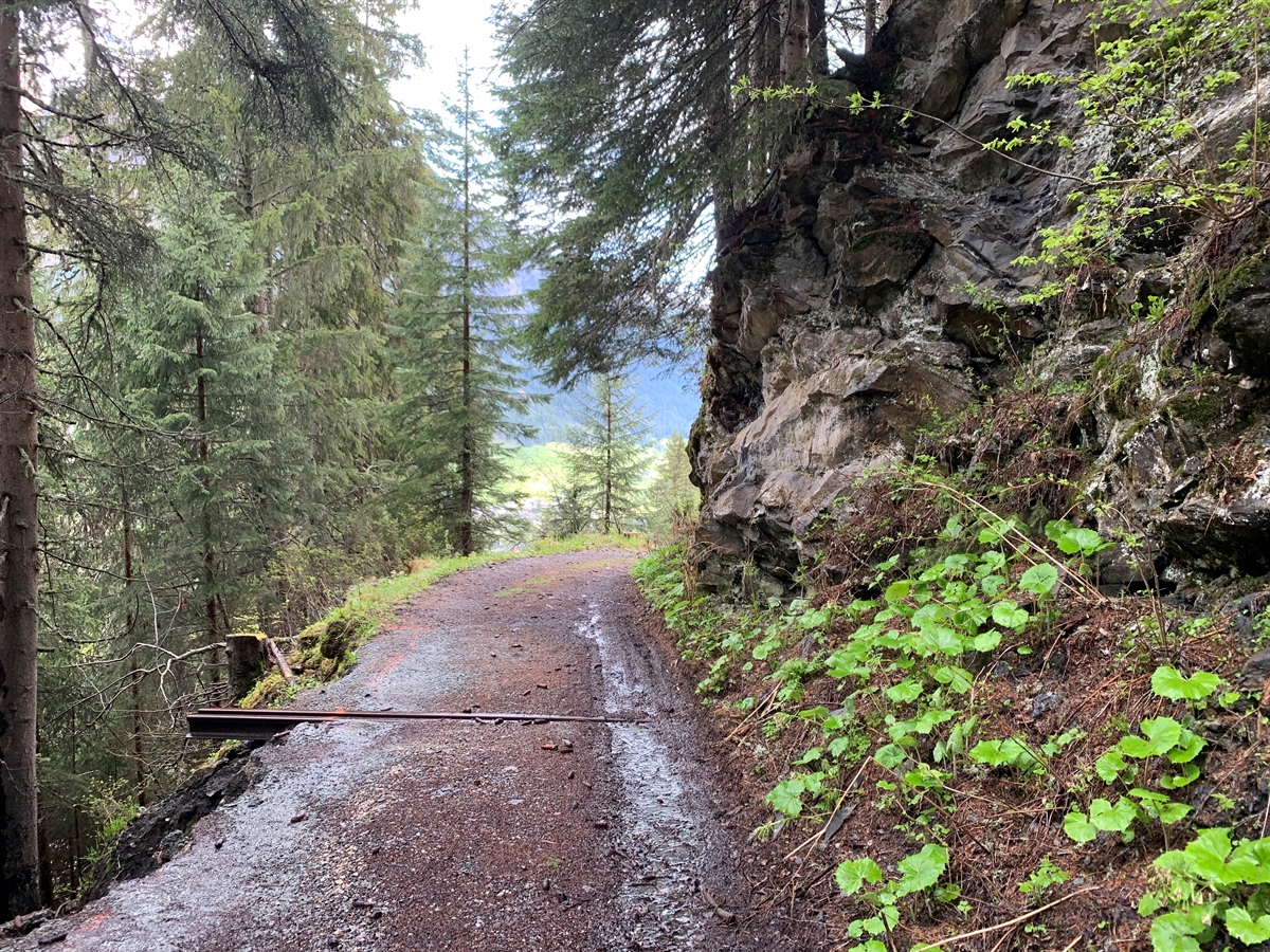 Waldbrandprävention 