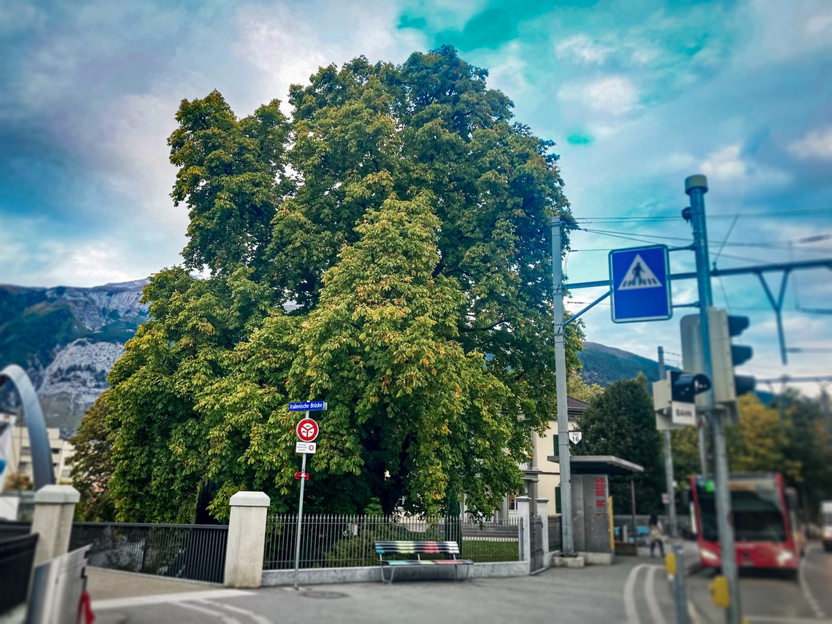 Vorschaubild