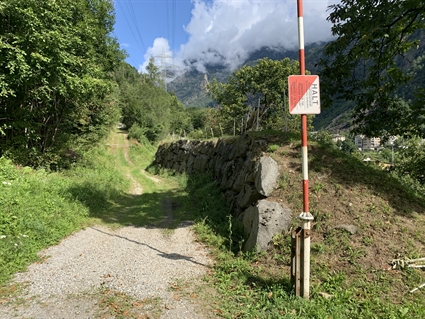 bestehender Steinschlagschutz