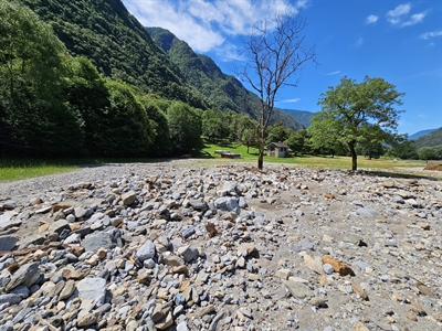 Schäden Grono