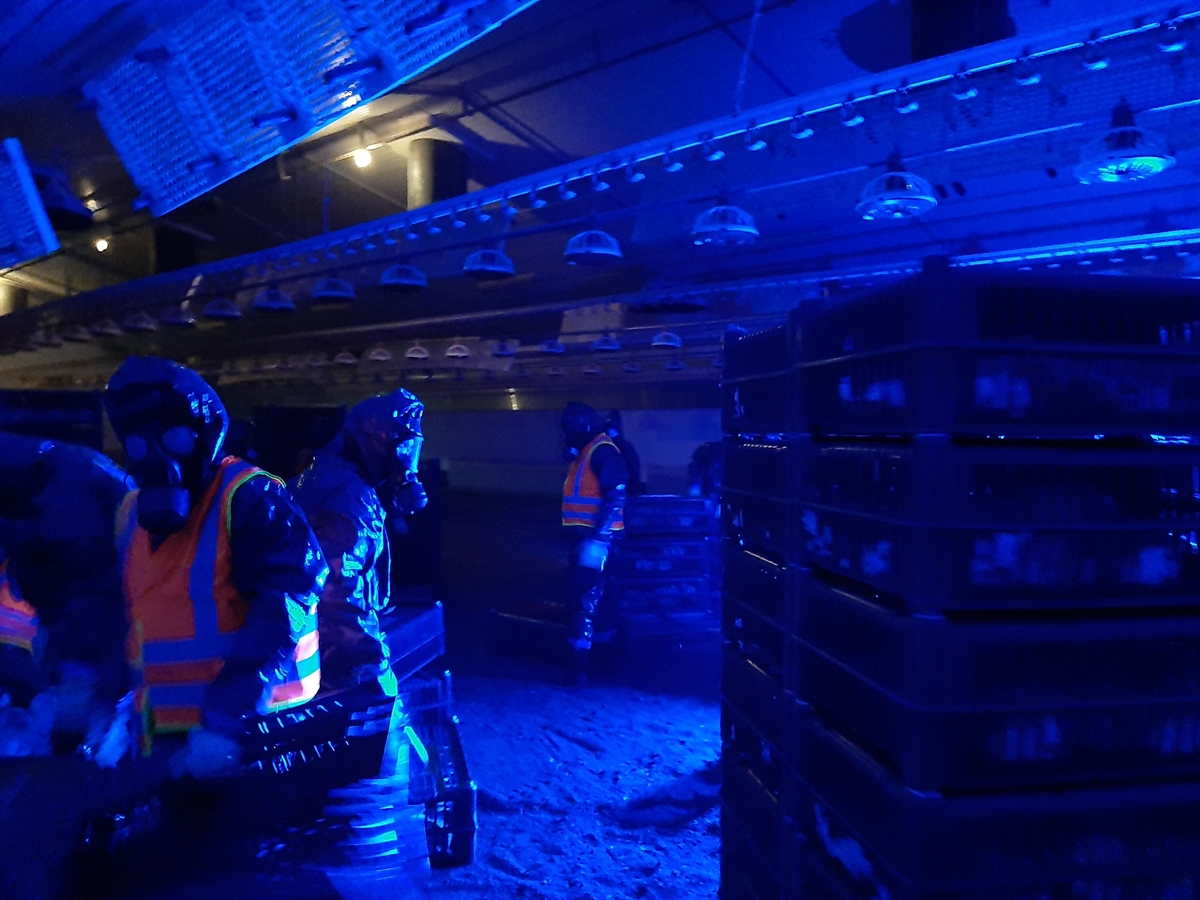 Personen mit Gasmasken bei der Übung