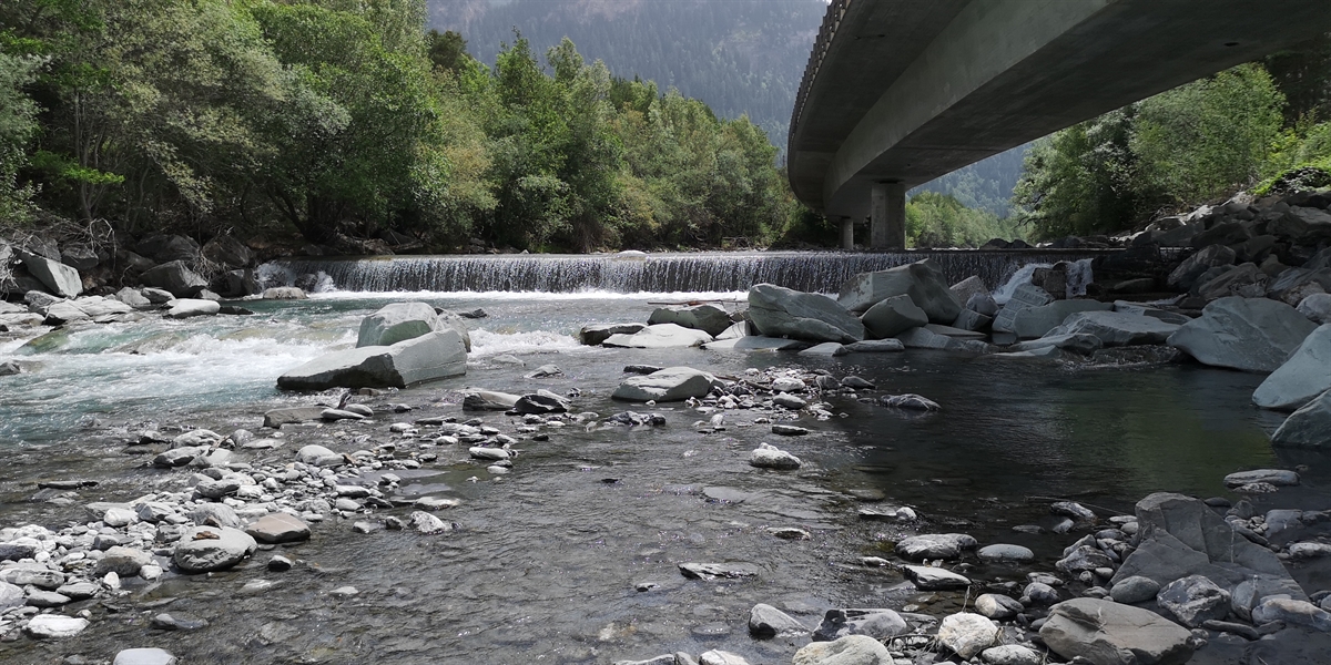 Blockrampe ermöglicht Fischwanderung im Hinterrhein