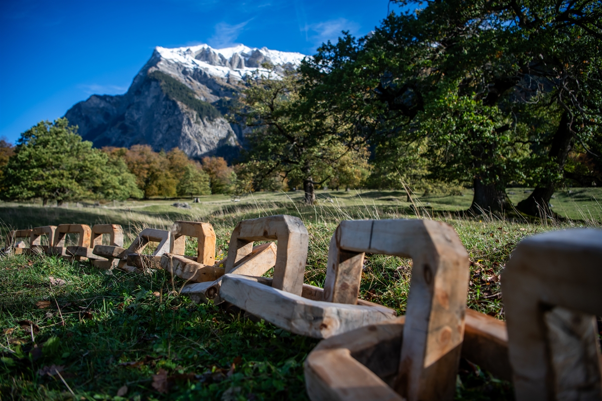 Graubünden Holz