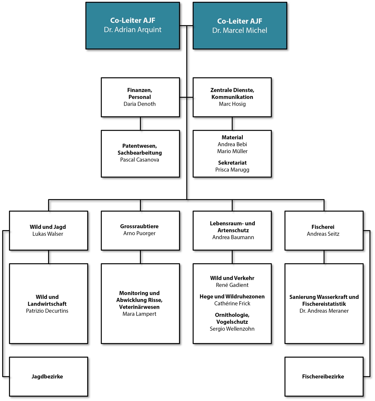 Organigramm DE
