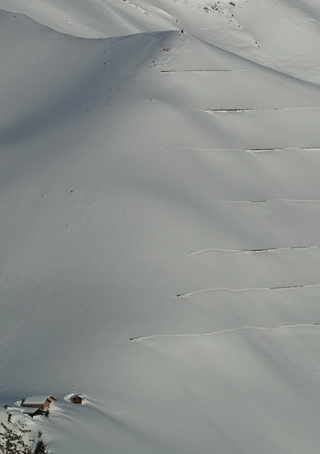 Der Grosse Schnee