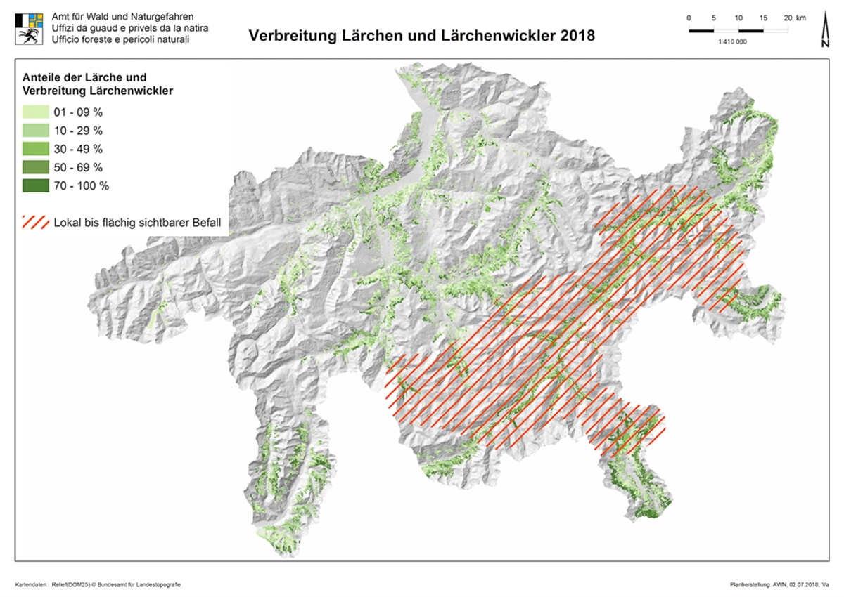 Übersicht über den Lärchenwicklerbefall