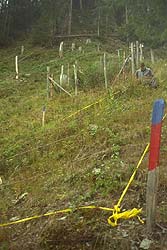 Entwicklung der Vergleichsfläche