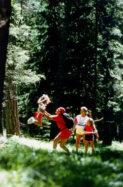 Der Wald besonders bei Spaziergängern beliebt
