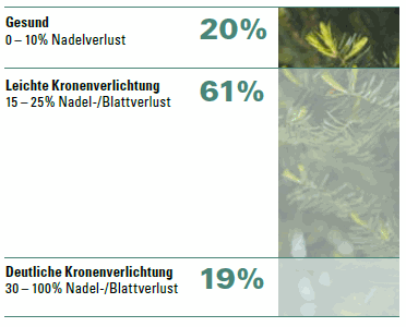 Grafik Waldschäden