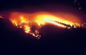 Waldbrand
