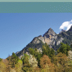 Titelblatt Wald und Zahlen