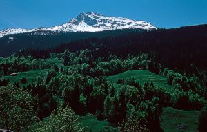 Wald und Landwirtschaftsflächen prägen die Kulturlandschaft im Berggebiet