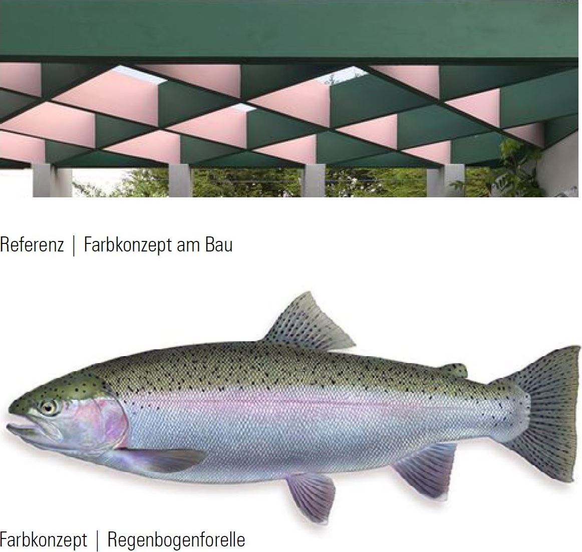 Entscheid Planerwahlverfahren für Architekturleistungen, Ersatzneubau Betriebsgebäude der Fischzucht des Amts für Jagd und Fischerei, Klosters