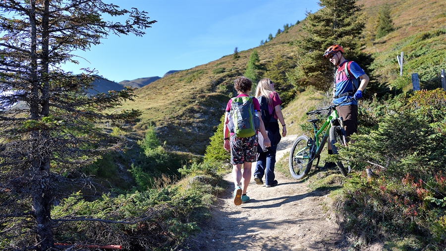 Kreuzung auf Wanderweg