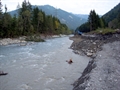 Das Flussbett in Partschils wurde mit dem Bagger linksufrig um rund 10 bis 15 m verbreitert. In Zukunft soll der Fluss diese Arbeit eigendynamisch fortsetzen