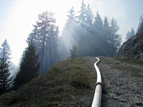 Gespenstische Ruhe: Sonnenstrahlen durchdringen Wald und Rauch