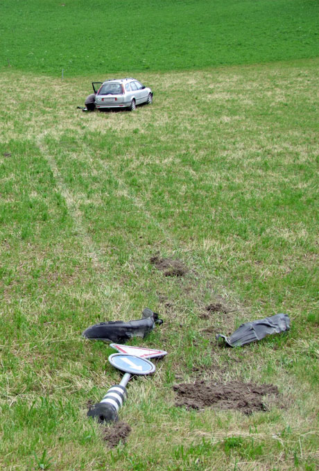 Das Fahrzeug landete rund 40 Meter in einer Wiese