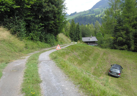 Das Fahrzeug kam nach rund 10 Metern auf der Wiese zum Stillstand