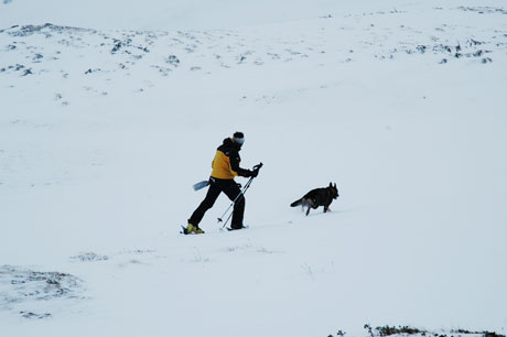 Helfer mit Hund