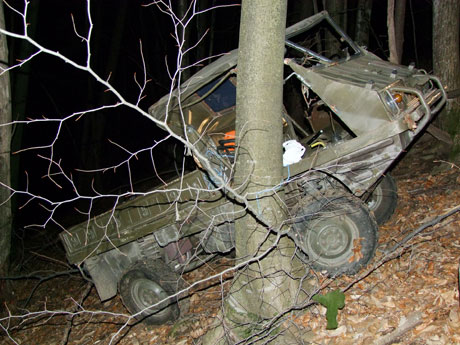 Der Haflinger wurde rund 40 Meter unterhalb der Strasse entdeckt