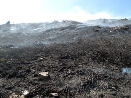 Aufnahme des Brandfeldes