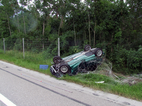 Das Fahrzeug landete im Wildschutzzaun