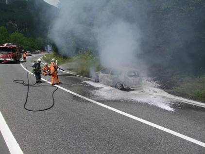 Die Feuerwehr hatte den Fahrzeug-/Flurbrand schnell gelöscht