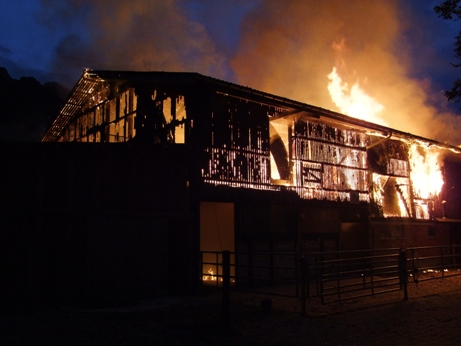 Freilaufstall in Vollbrand