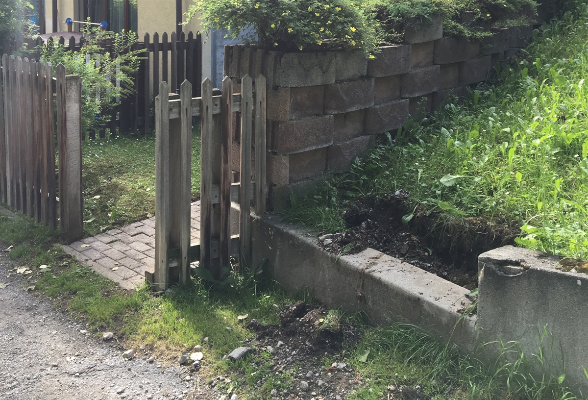 Ein Gartengitter und zwei Zierbäume ausgerissen