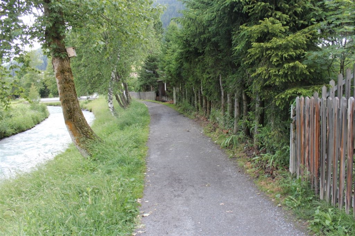 Holzzaun und Pfosten mutwillig entfernt