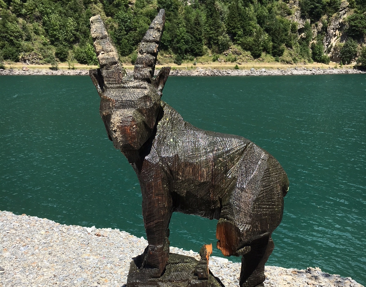 -