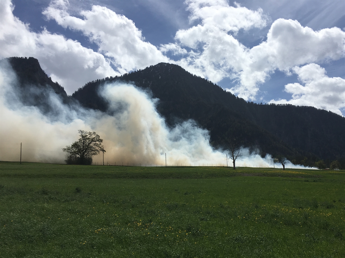 Brennendes Erdbeerfeld mit starker Rauchentwicklung