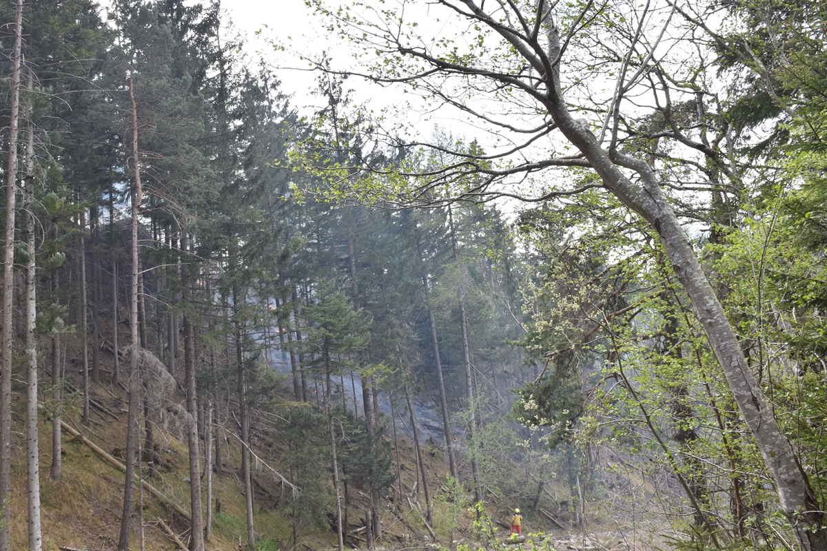 Feuerwehrleute bekämpfen den Waldbrand mit Löschrucksäcken