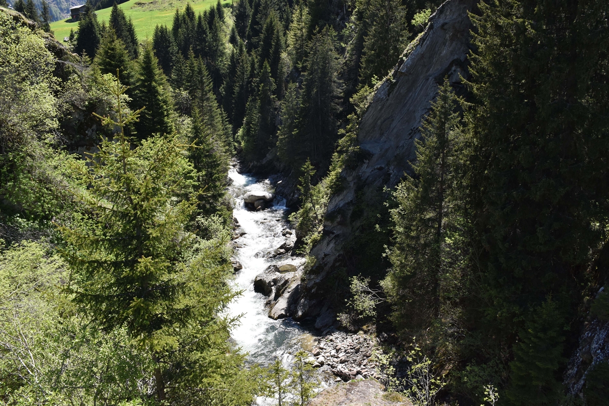 Fundstelle im Medelser Rhein