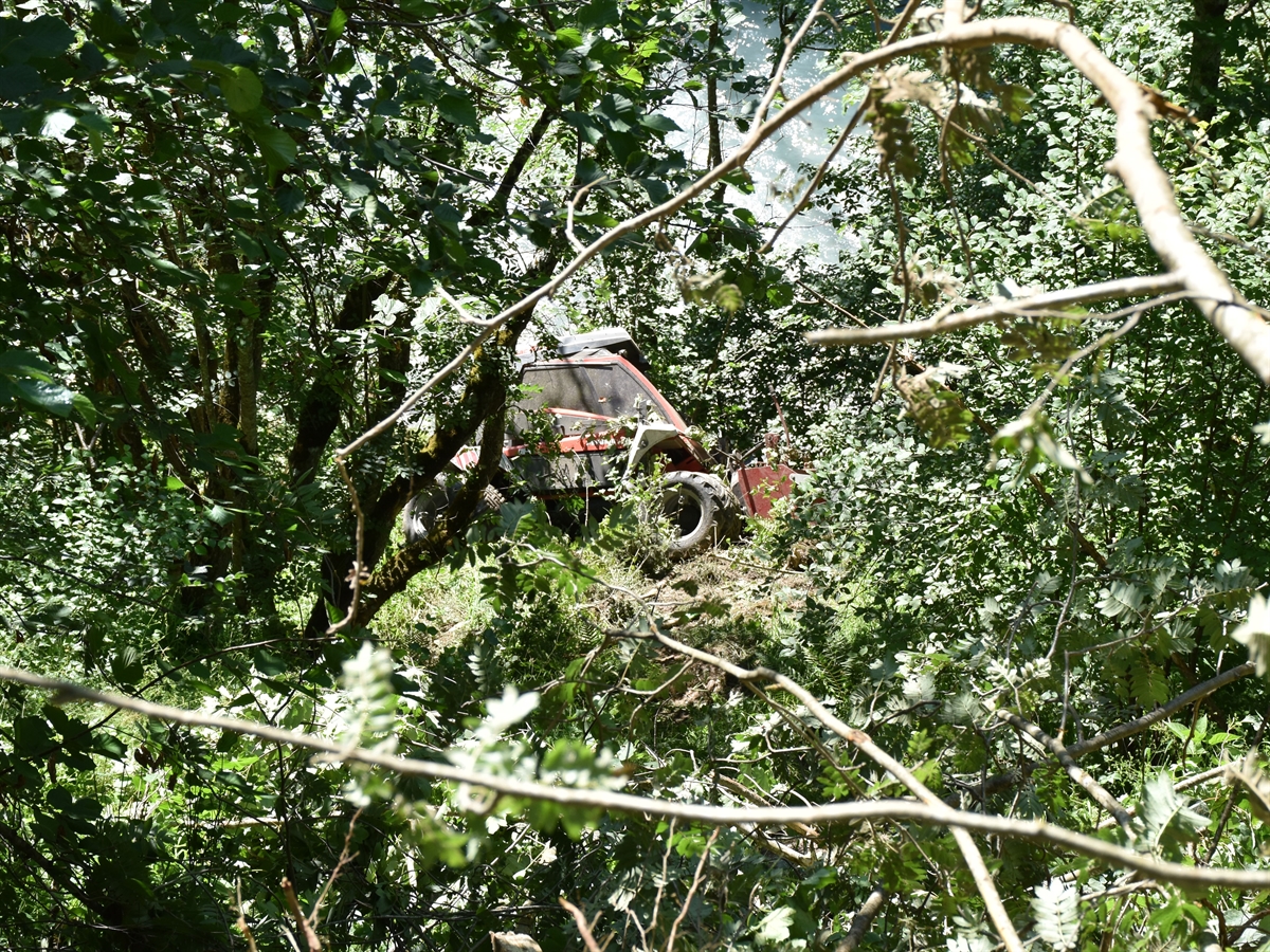 Endlage des Motorkarrens im Laubwald. Im Hintergrund der angrenzende Bach