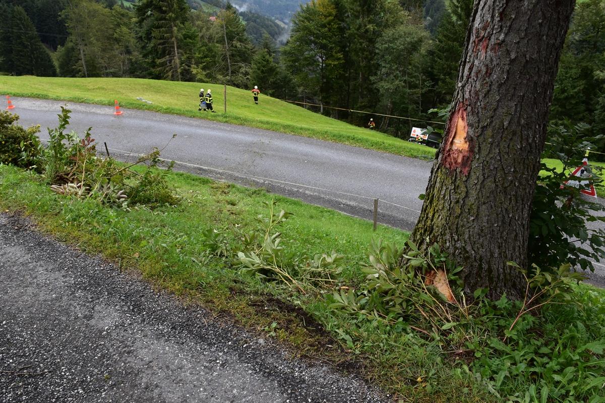 Unterhalb der Strasse das abfallende Wiesland und der Anhänger am Waldrand.